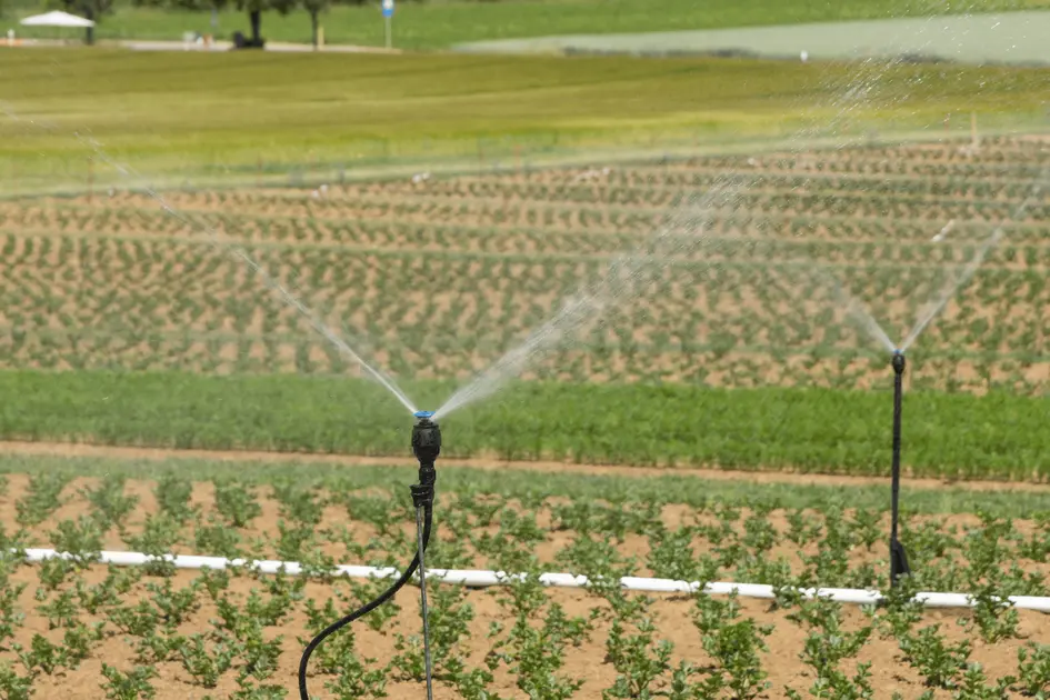 Murmure irrigation system